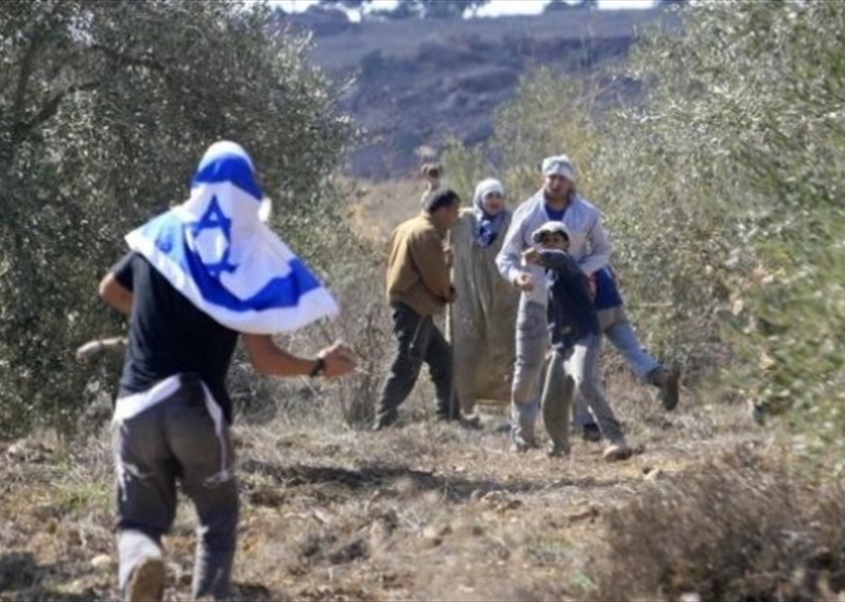 (شاهد) استمرار جرائم الاحتلال والمستوطنين ضد قاطفي الزيتون تصعيد ممنهج لاستهداف الأرض والإنسان الفلسطيني