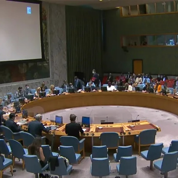 (شاهد) تُقدّم مذكرة عاجلة إلى أعضاء في مجلس الأمن الدولي تدعوهم للتحرك العاجل لوقف جريمة الإبادة