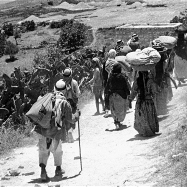 (Witness): On World Refugee Day: The Palestinian Refugee Is Not a Number... but a Matter of Justice, Dignity, and the Right of Return