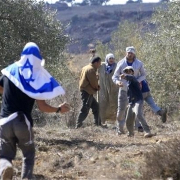 (شاهد) استمرار جرائم الاحتلال والمستوطنين ضد قاطفي الزيتون تصعيد ممنهج لاستهداف الأرض والإنسان الفلسطيني