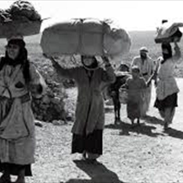 (شاهد): العدالة المنسية: معاناة الفلسطينيين بين النكبة والعدوان على قطاع غزة في الذكرى الـ76