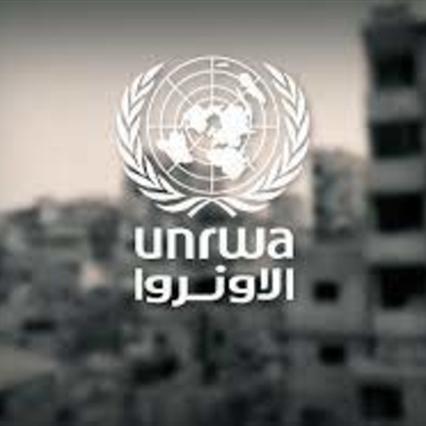 (witness) calls on the next week's meeting of the Advisory Committee of UNRWA to provide sustainable funding to protect the rights of Palestinian refugees.