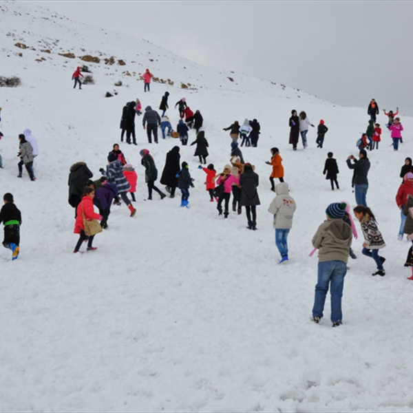 "شاهد" تقيم رحلة للأطفال منطقة صور 