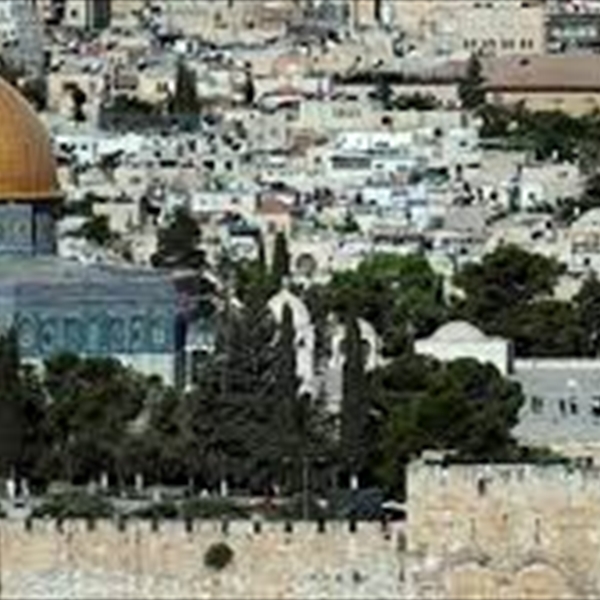 (Witness) condemns Argentina embassy transfer to occupied Jerusalem and calls for respect for international law and UN resolutions