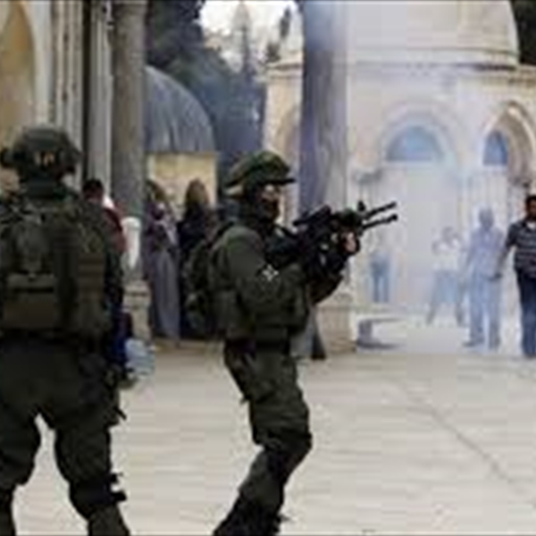 أبرز المنظمات الدولية التي انضمت إليها دولة فلسطين