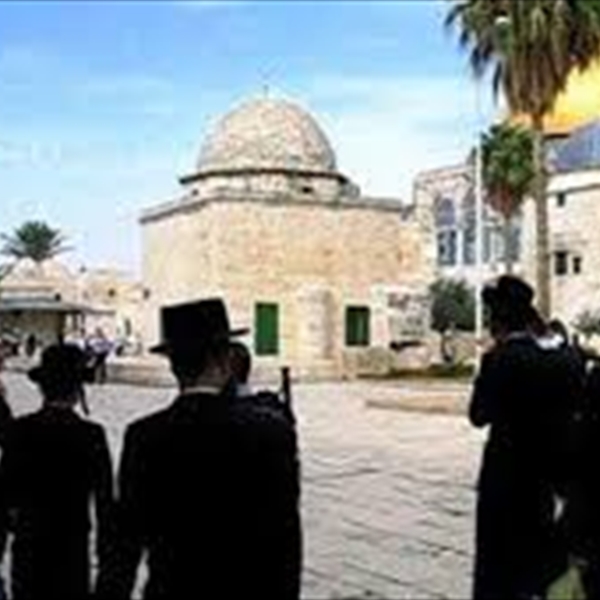 محكمة الجنايات الدولية  بين أمل محاسبة مجرمي الحرب الإسرائليين  وخوف الإفلات من العقاب