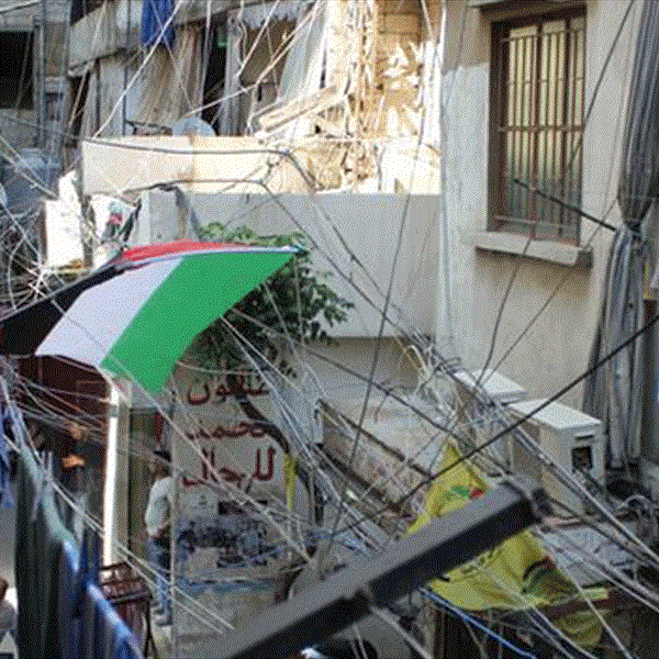 (شاهد) تطالب الفصائل باتخاذ دور أكثر حسماً  بعد تسجيل ثلاثة قتلى في أقل من شهر بسبب تجار المخدرات والسلاح المتفلت