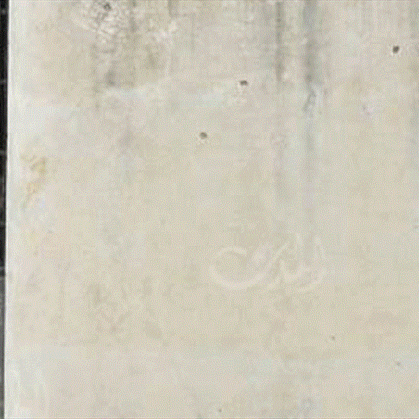 مبادرة للإفراج عن فلسطينيين بسجون لبنان انتهت محكوميتهم