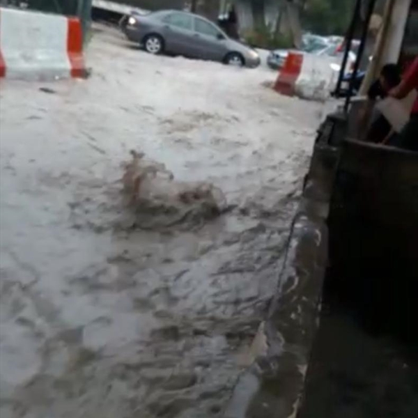 مع كل شتاء  العين الحلوة تٌغرقها مياه النبعة