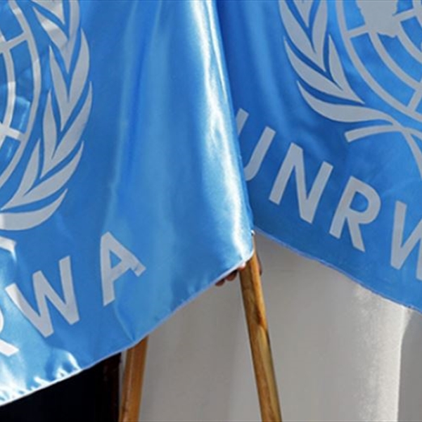  العدد الاول  تقرير الأونروا الدوري