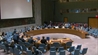 (Witness) Submits Urgent Memorandum to member of the UN Security Council to Halt the Crime of Genocide in Gaza